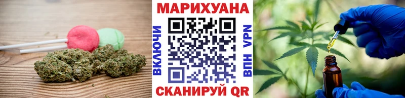 Купить закладки  Александровск  Cannafood конопля 